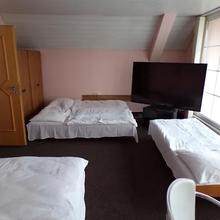 Motel Osecek Guest house *